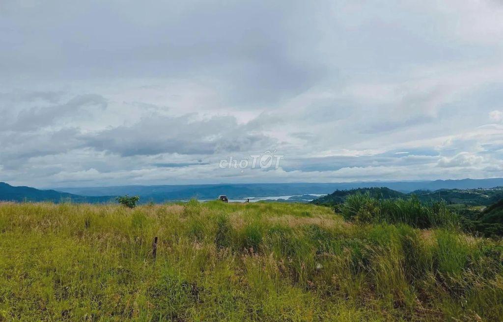 ĐẤT CỬA NGÕ TÀ ĐÙNG - 695M² - MẶT TIỀN 10M - 100M² ĐẤT Ở