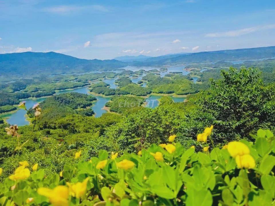 ĐẤT FARMSTAY 12.000M² NHÌN THUNG LŨNG TÀ ĐÙNG - MẶT TIỀN 47,5M