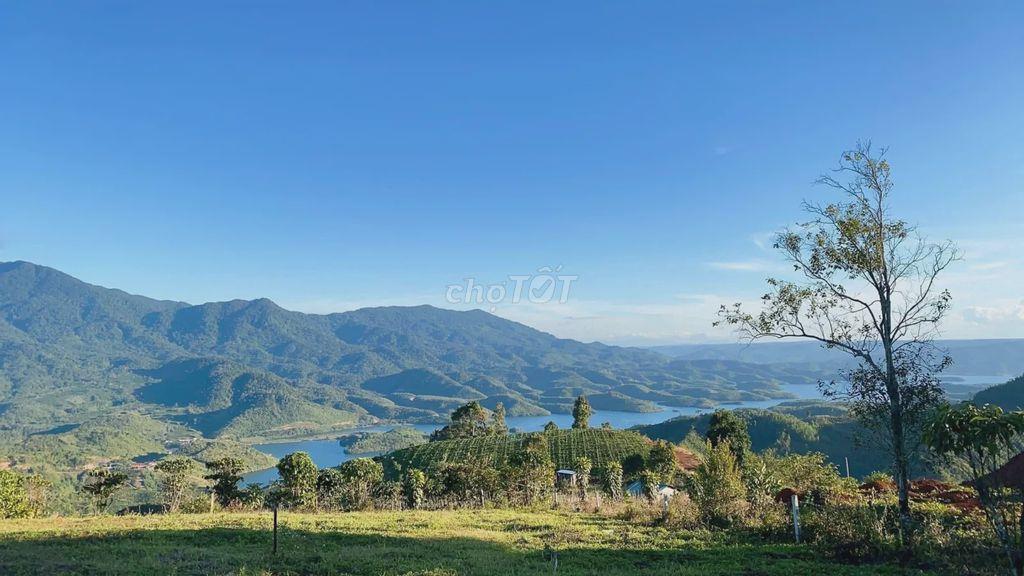 ĐẤT FARM GẦN 8.000M² NHÌN THUNG LŨNG TÀ ĐÙNG - MẶT TIỀN 42,5M