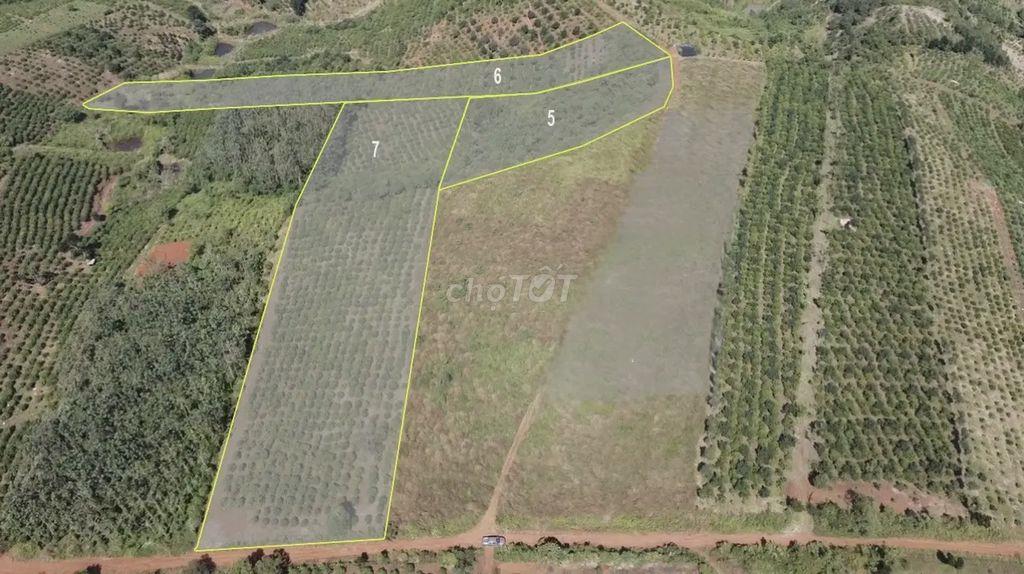 ĐẤT FARMSTAY NHÌN THUNG LŨNG TÀ ĐÙNG - 3.638M² - MẶT TIỀN 40M