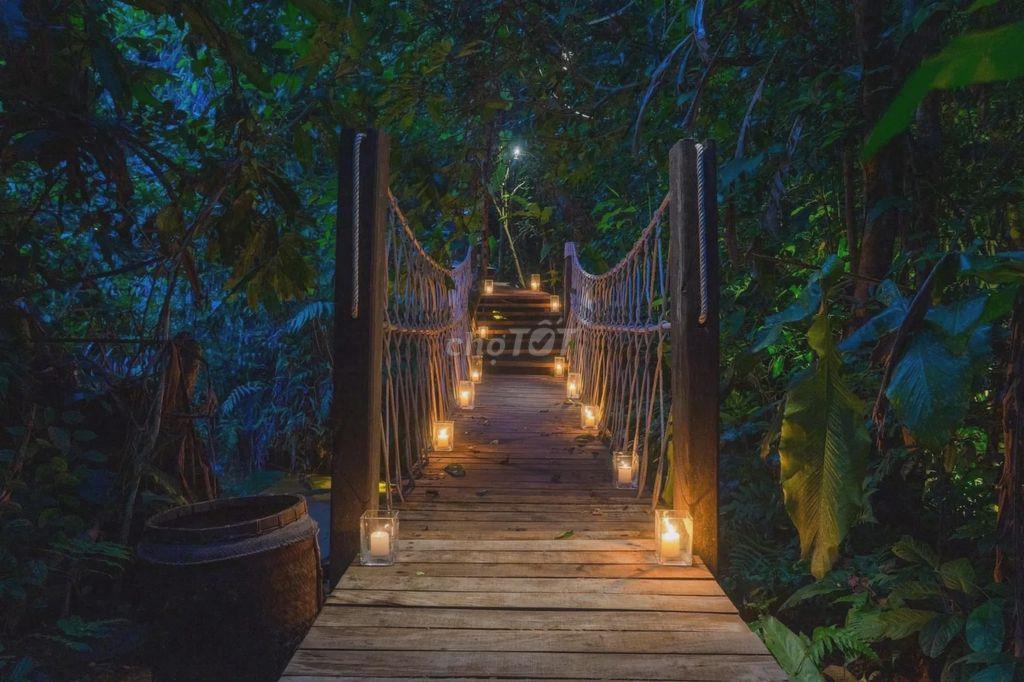 QUỸ ĐẤT NGHỈ DƯỠNG MẶT HỒ TRUNG TÂM TÀ ĐÙNG - HƠN 1HA - 75M MẶT NƯỚC
