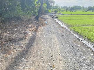 Cho Thuê Đất Ruộng Vườn trồng Rau, Hoa Màu