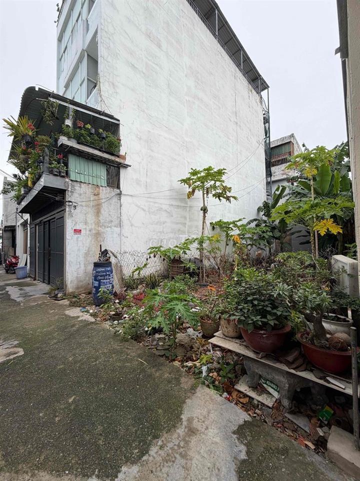 cần bán đất