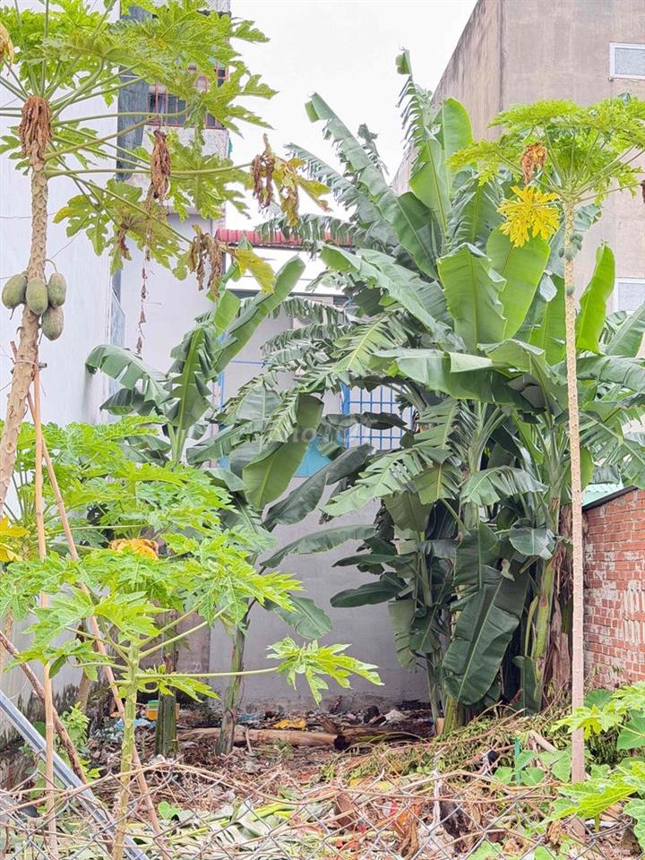 cần bán đất