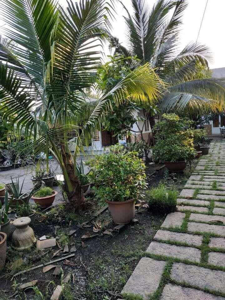 nhà đất chính chủ 768,7m2