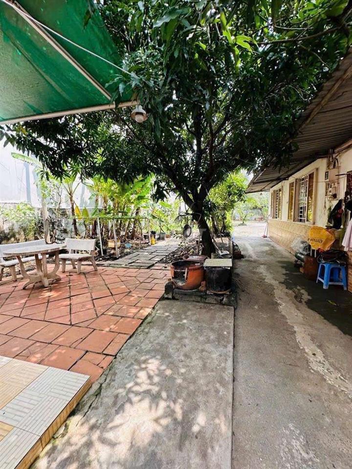 nhà đất chính chủ 768,7m2