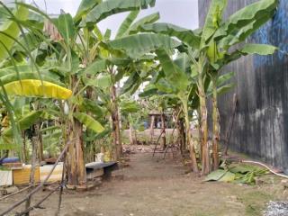 Bán lô đất 6x16 mt 27 nguyễn xiễn , long bình giá 4,6 tỷ