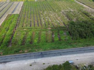 Chính chủ bán 34.042,7m2 đất mặt tiền ql n2 thạnh lợi   0977 570 ***