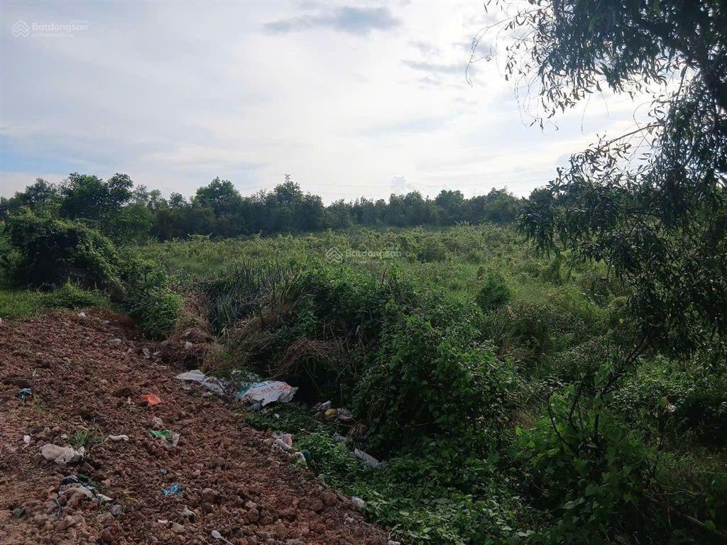 Bán hơn 5,9ha đất mặt tiền n2 thạnh lợi bến lức long an   0977 570 ***