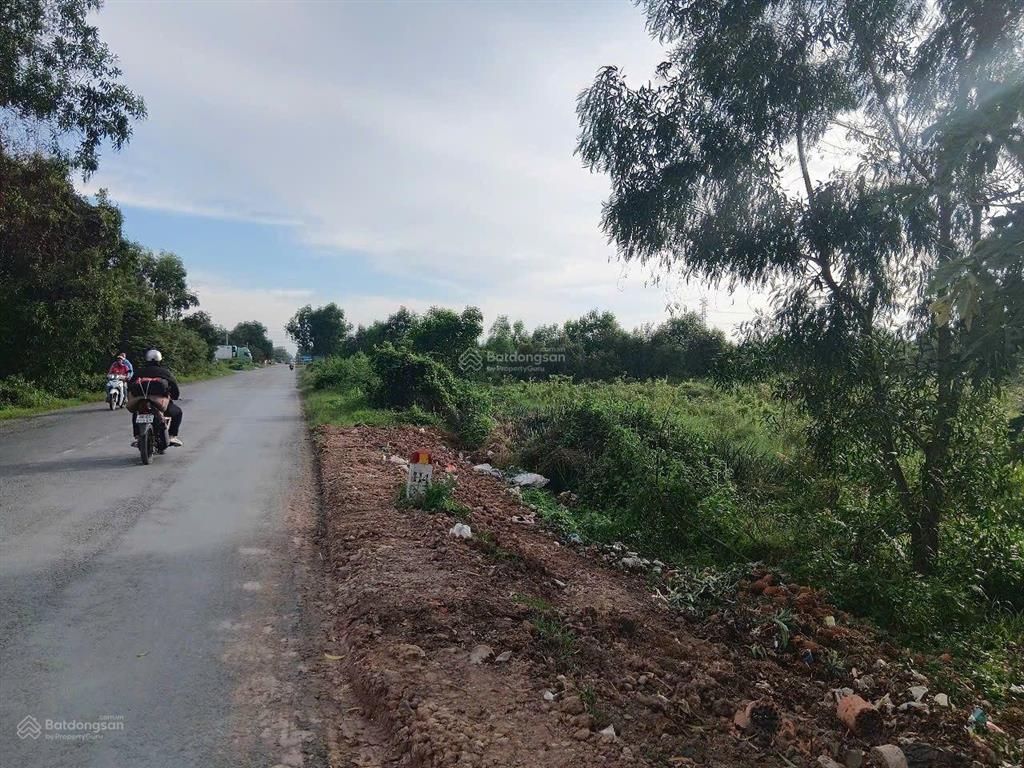 Bán hơn 5,9ha đất mặt tiền n2 thạnh lợi bến lức long an   0977 570 ***