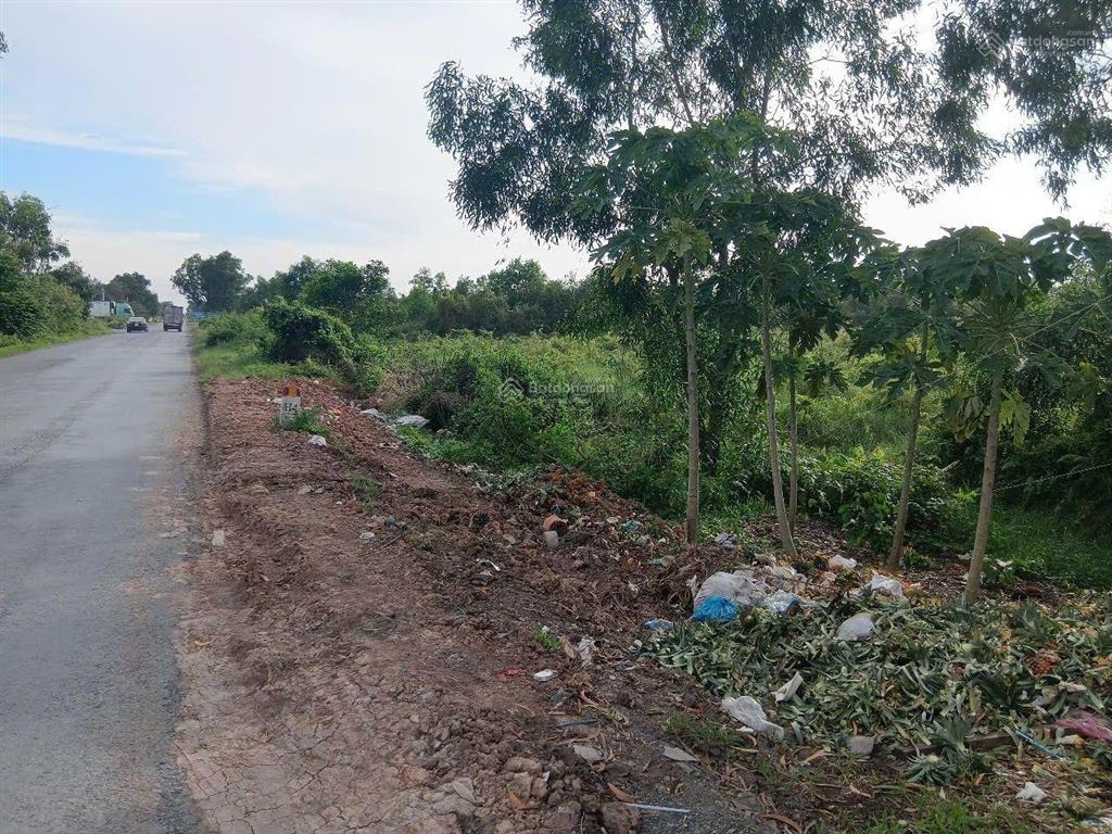 Bán hơn 5,9ha đất mặt tiền n2 thạnh lợi bến lức long an   0977 570 ***