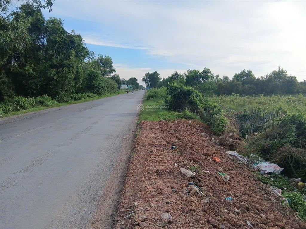 Bán hơn 5,9ha đất mặt tiền n2 thạnh lợi bến lức long an   0977 570 ***
