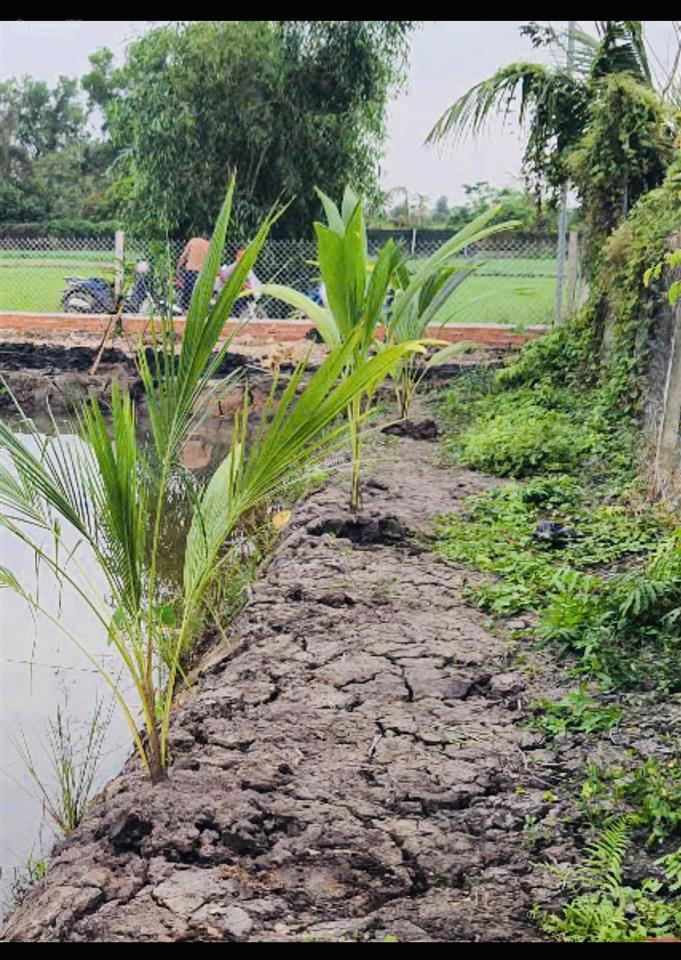 Bán đất 1/ cầu nhà vuông 500m2, giá 2 tỷ bình mỹ củ chi, sát vành đai 3. 15x33m