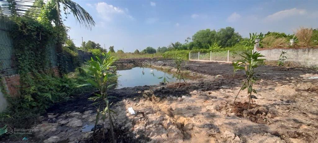 Bán đất 1/ cầu nhà vuông 500m2, giá 2 tỷ bình mỹ củ chi, sát vành đai 3. 15x33m