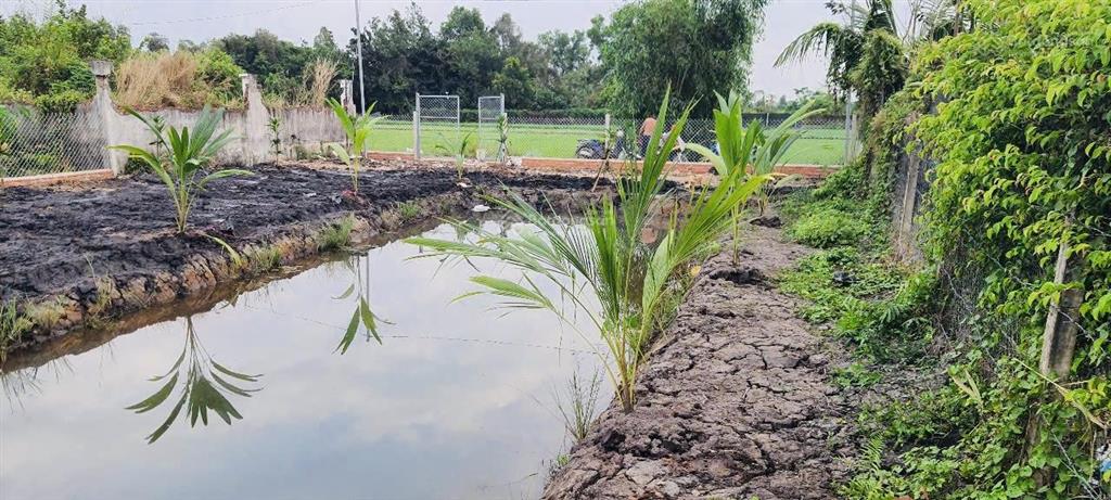 Bán đất 1/ cầu nhà vuông 500m2, giá 2 tỷ bình mỹ củ chi, sát vành đai 3. 15x33m