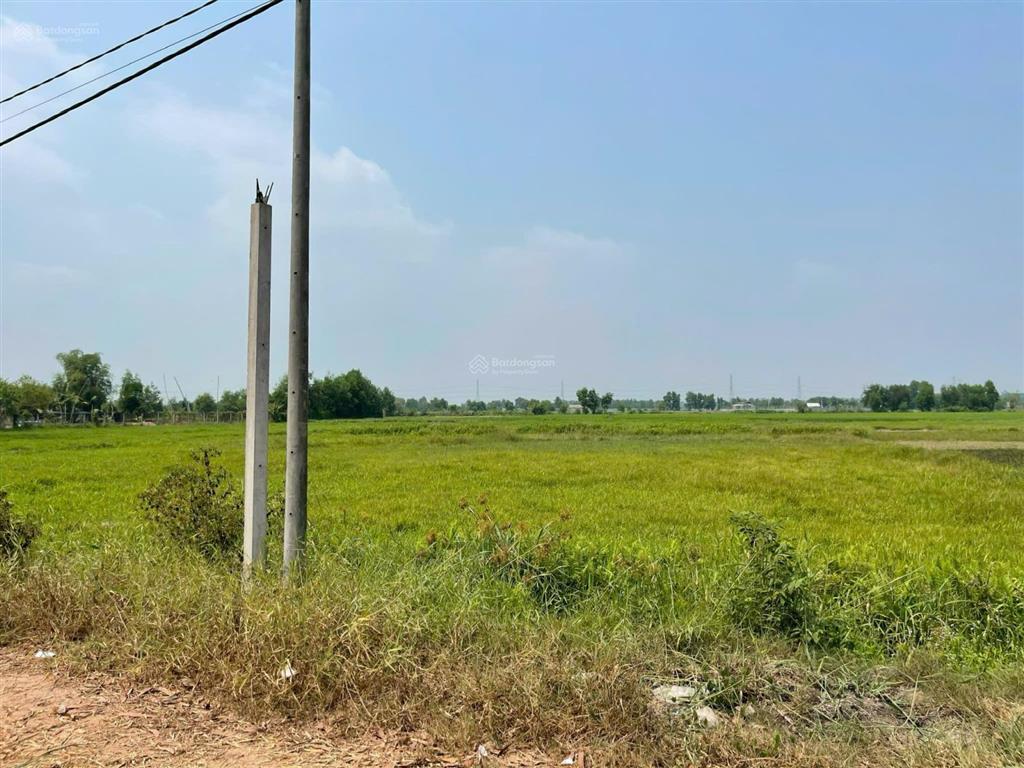 Nợ ngân hàng cần hạ giá 300t bán gấp lô đất 570m2 vuông vức, sổ hồng riêng ngân hàng cho vay 1,5 tỷ
