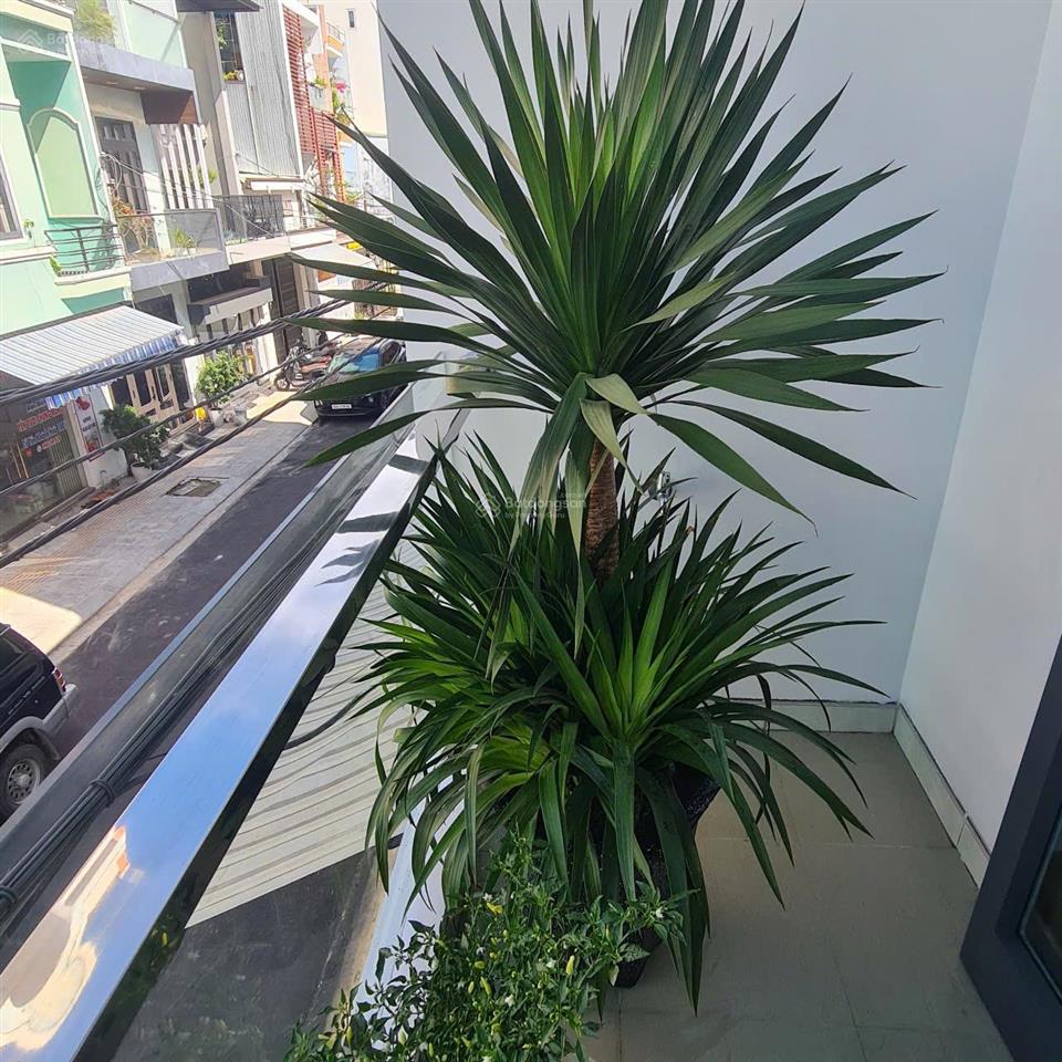 Cho thuê nhà ngay phan huy ôn, hòa cường, đà nẵng. thuê nguyên căn, giá tốt, mới đẹp 100%