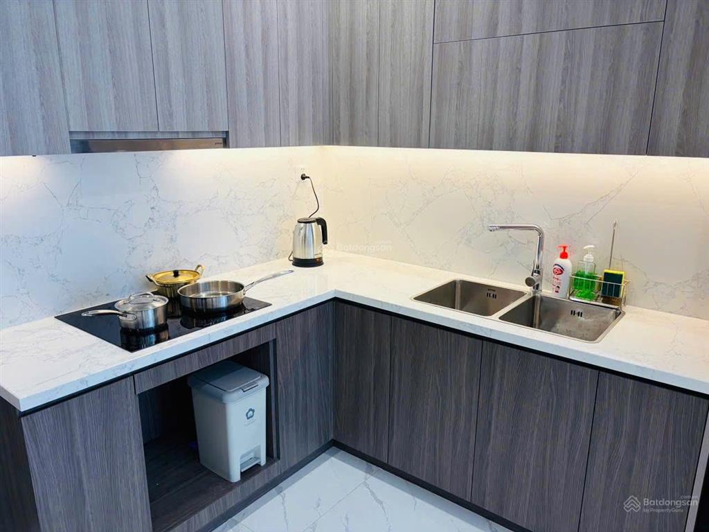 Cho thuê căn hộ cao cấp opus one 1pn+ đầy đủ nội thất, view trực diện hồ
