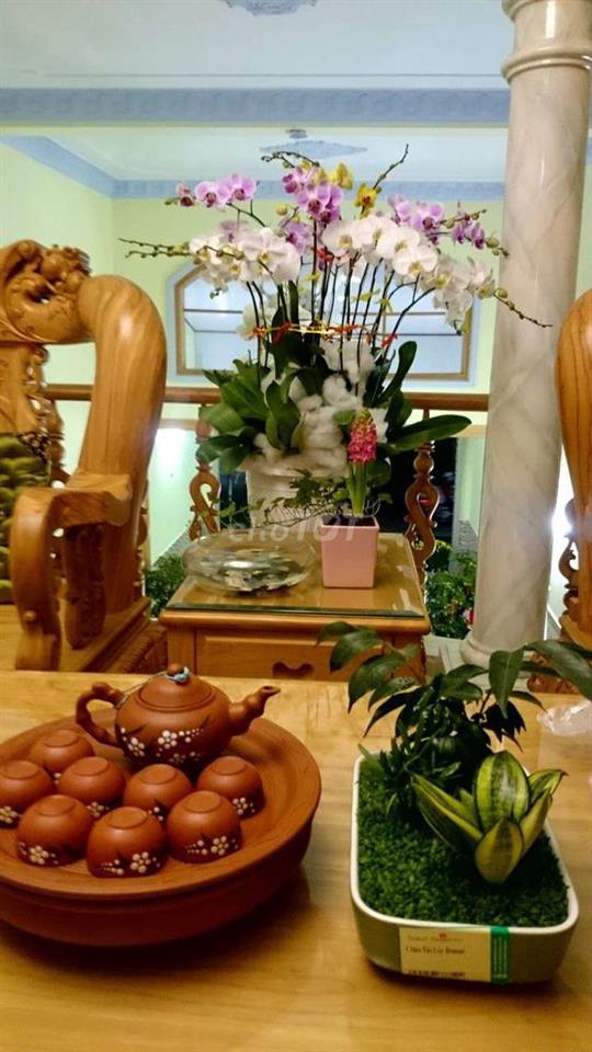 bán căn nhà mặt tiền đườngNguyễn ảnh thủ phường Trung Mỹ Tây  5 x 30