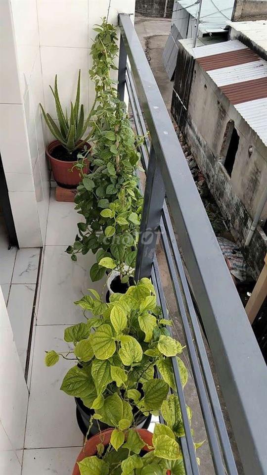 🎉🎉NHÀ BÁN CHÍNH CHỦ - GẦN TRƯỜNG ĐẠI HỌC NGUYỄN TẤT THÀNH
