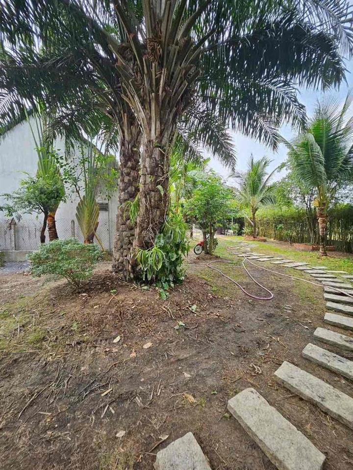Biệt thự mini 850m2 đất tiện nghie dưỡng