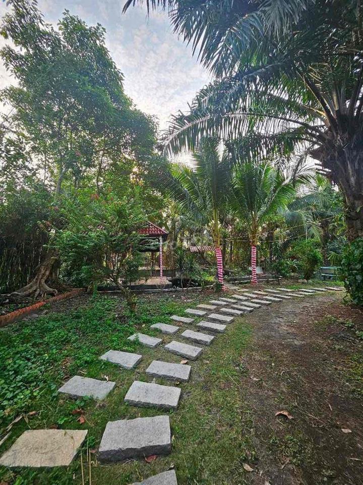 Biệt thự mini 850m2 đất tiện nghie dưỡng