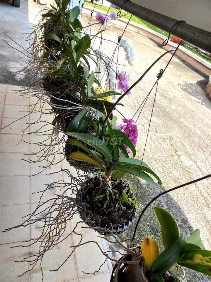 Bán nhà Thạnh Xuân 38 Quận 12