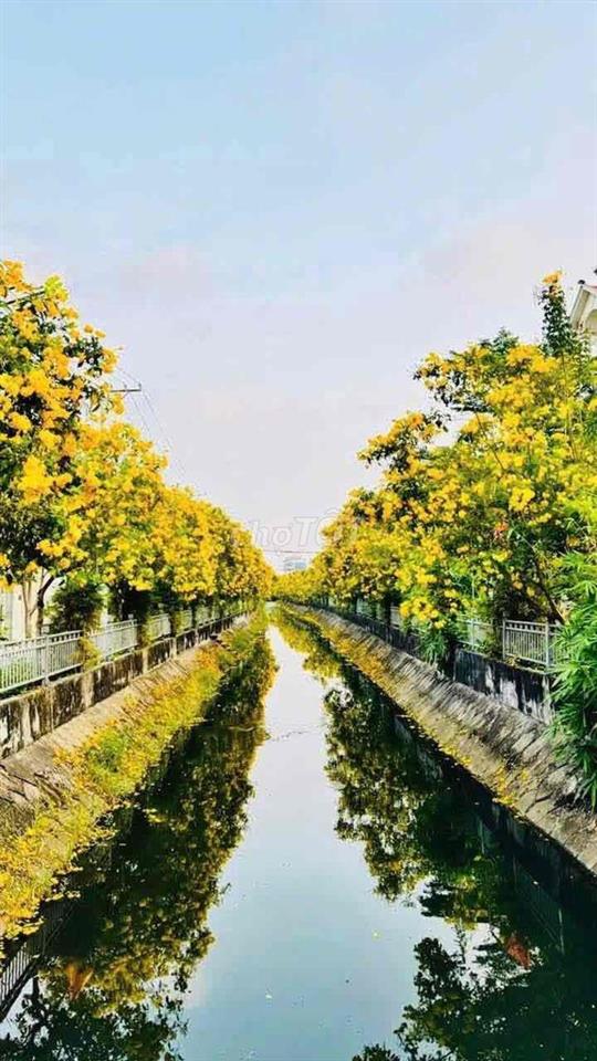 cho thêu làm cty văn phong ,