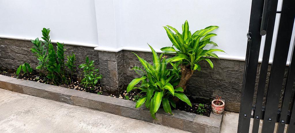 Cho thuê nhà nguyên căn, Q12, gần cầu Tham Lương