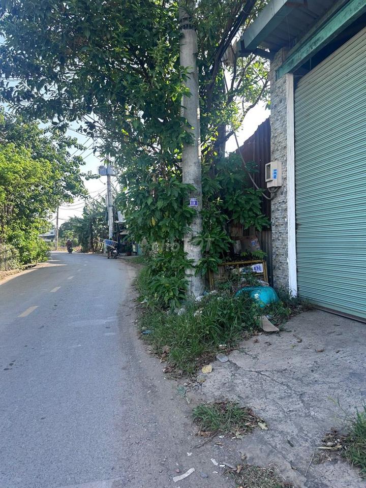 Cho Thuê Nhà Xưởng Đường TX14
