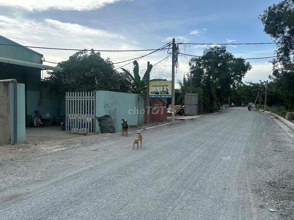 Cho thuê kho 700m² – An Phú Đông, Quận 12