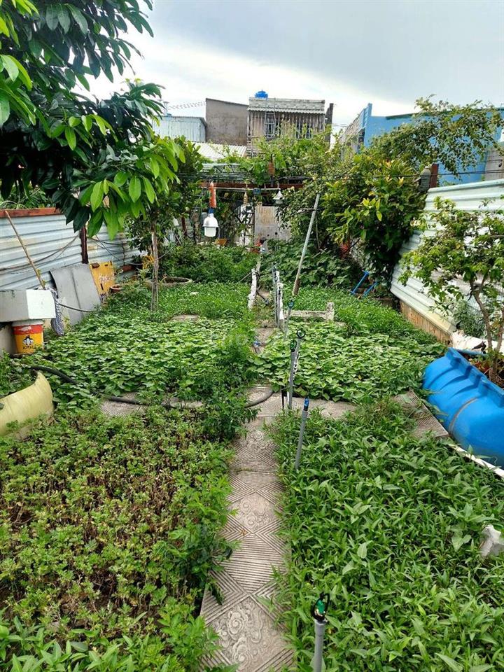 bán đất tx14 phường thạnh xuân giá 1 tỷ 150 triệu
