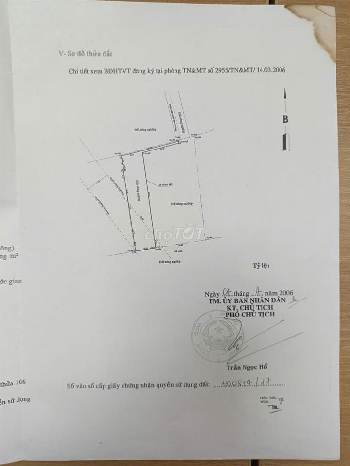 Bán Nhà + đất hẻm chính bê tông 5m đường TX52
