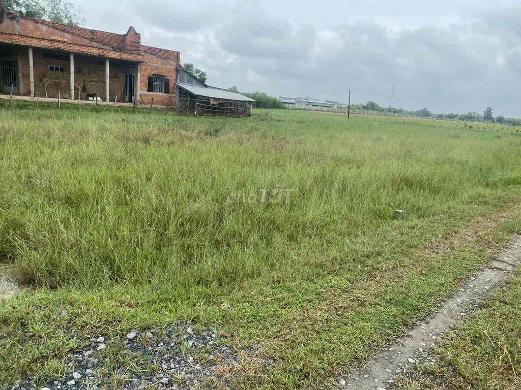 chính chủ bán