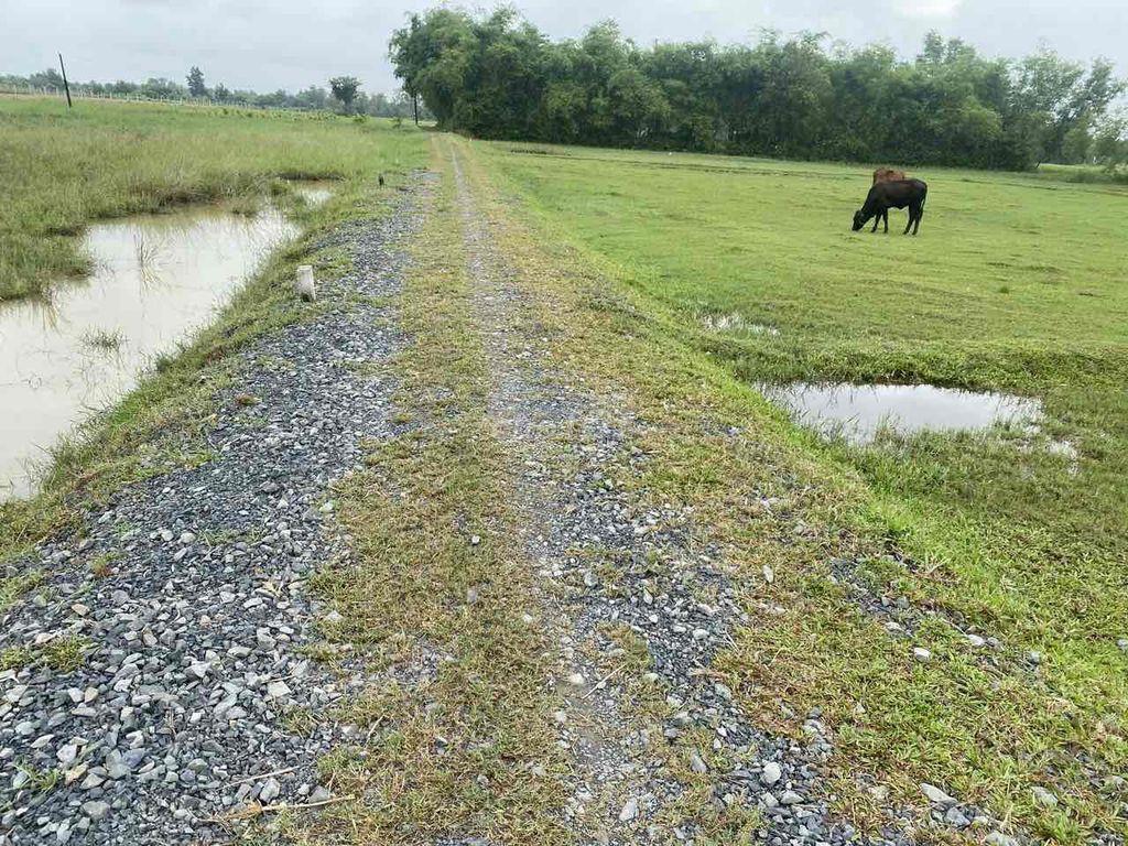 chính chủ bán