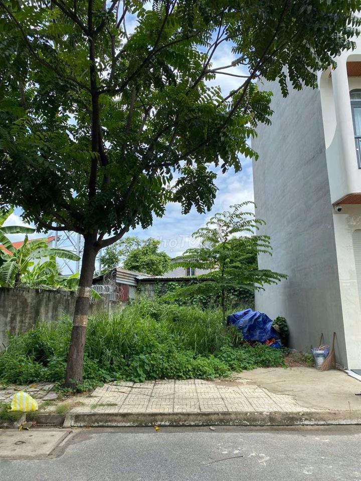 cần bán đất ở An Phú Đông 