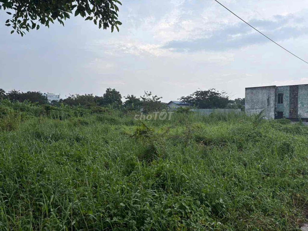 Đất 1200m hẻm xe hơi.khu dân cư