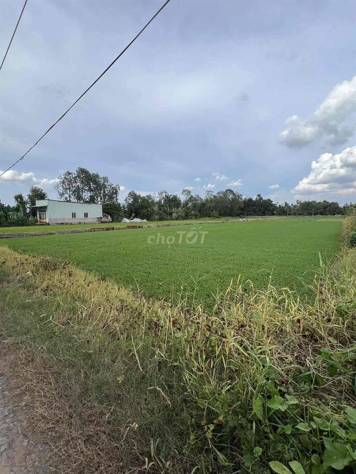 ĐẤT Trồng Cây hằng năm + 1 phần đất nhà ở
