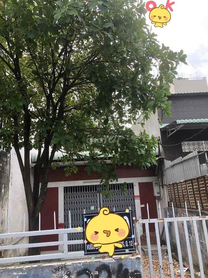 Đất thổ cư vườn lài