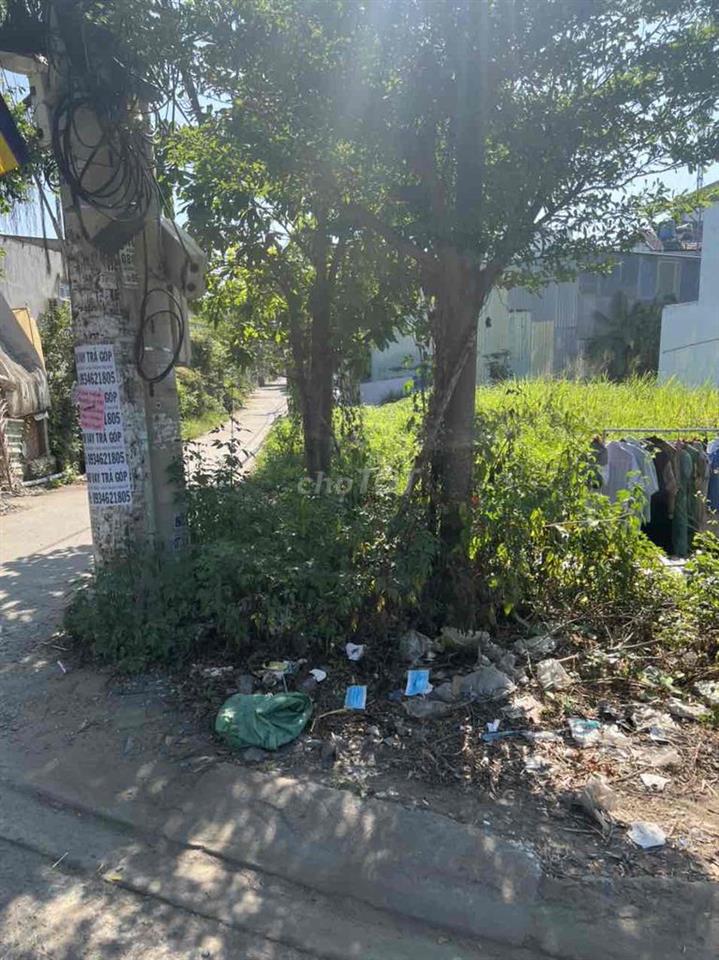 Đất ngộp cần bán gấp tặng cây xanh bự mát che cả vườn luôn