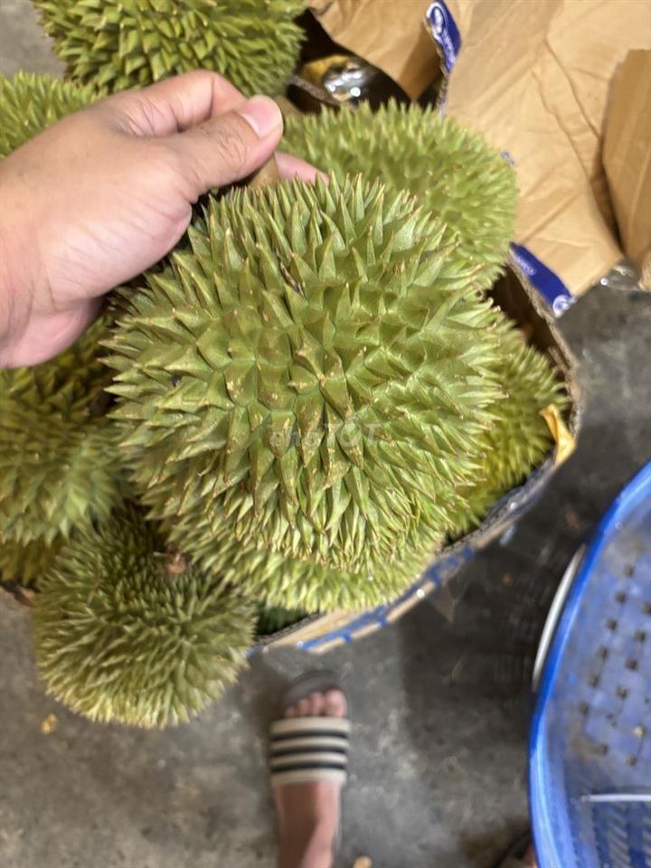 Nhà em còn vài phòng cho thuê