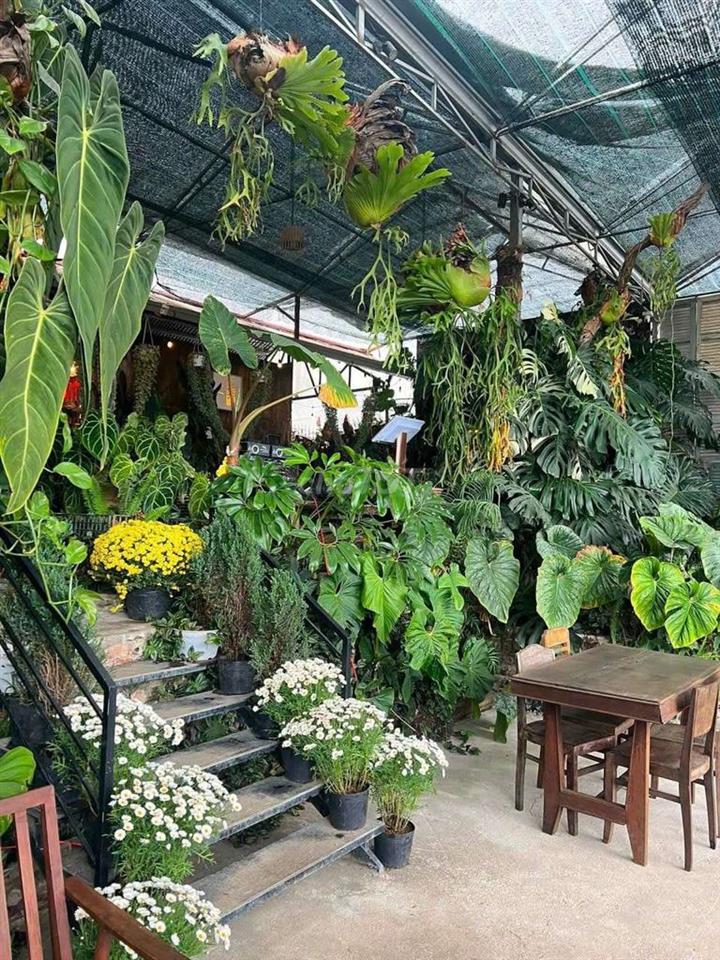 SANG NHƯỢNG QUÁN CÀ PHÊ