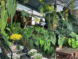 SANG NHƯỢNG QUÁN CÀ PHÊ