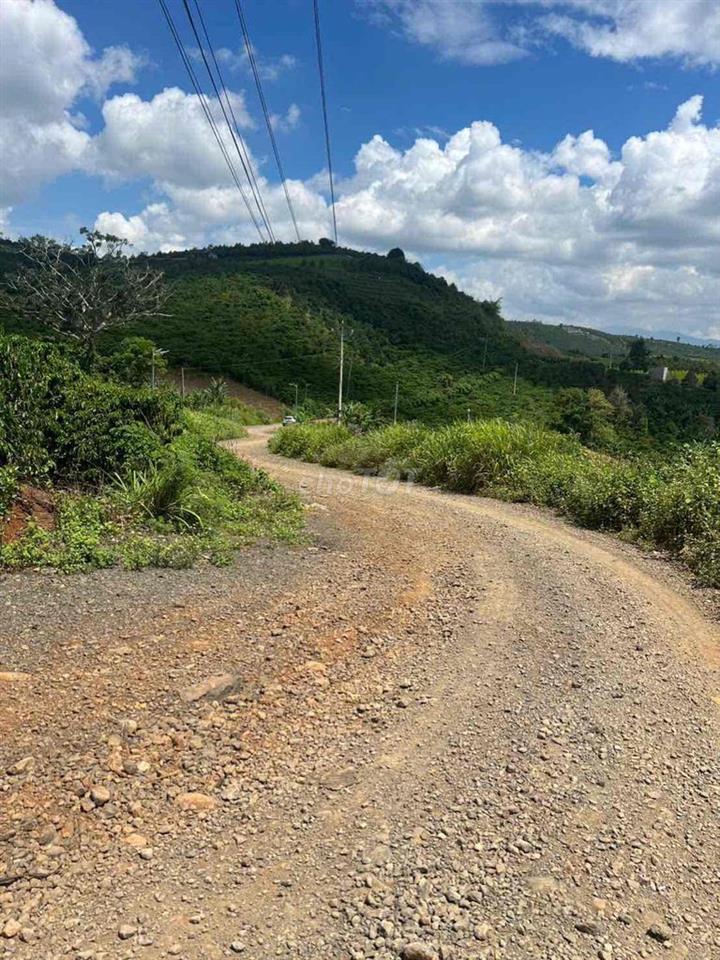 Bán Đất Đẹp View Sông Đồng Nai