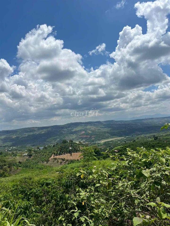 Bán Đất Đẹp View Sông Đồng Nai