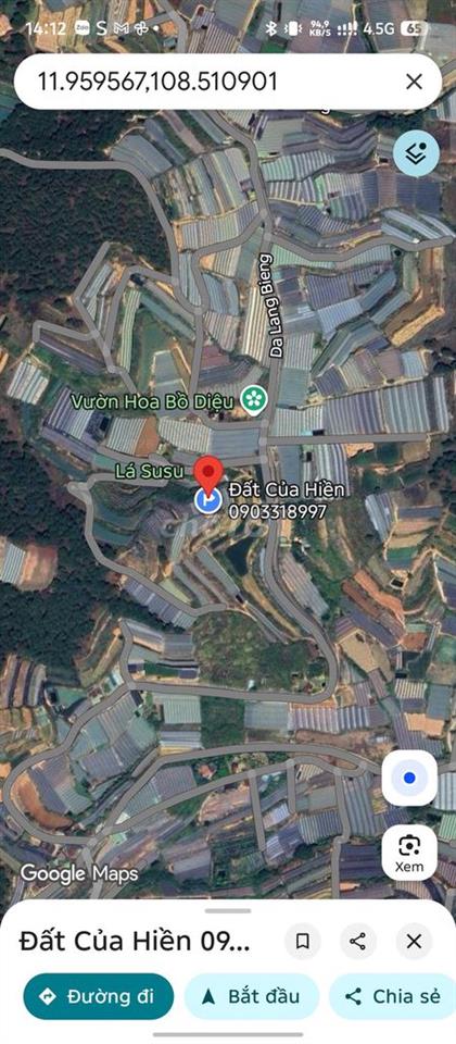 🔥 BÁN GẤP 3.000M² ĐẤT NÔNG NGHIỆP – 2 MẶT ĐƯỜNG – Ô TÔ VÀO TẬN NƠI 🔥