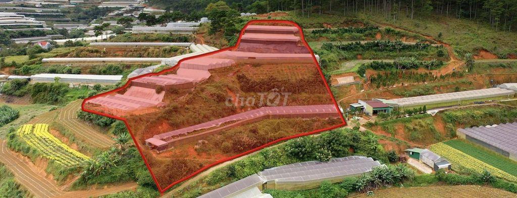 🔥 BÁN GẤP 3.000M² ĐẤT NÔNG NGHIỆP – 2 MẶT ĐƯỜNG – Ô TÔ VÀO TẬN NƠI 🔥