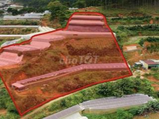 🔥 BÁN GẤP 3.000M² ĐẤT NÔNG NGHIỆP – 2 MẶT ĐƯỜNG – Ô TÔ VÀO TẬN NƠI 🔥