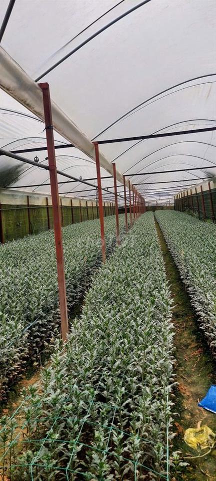 🔥 BÁN GẤP 3.000M² ĐẤT NÔNG NGHIỆP – 2 MẶT ĐƯỜNG – Ô TÔ VÀO TẬN NƠI 🔥