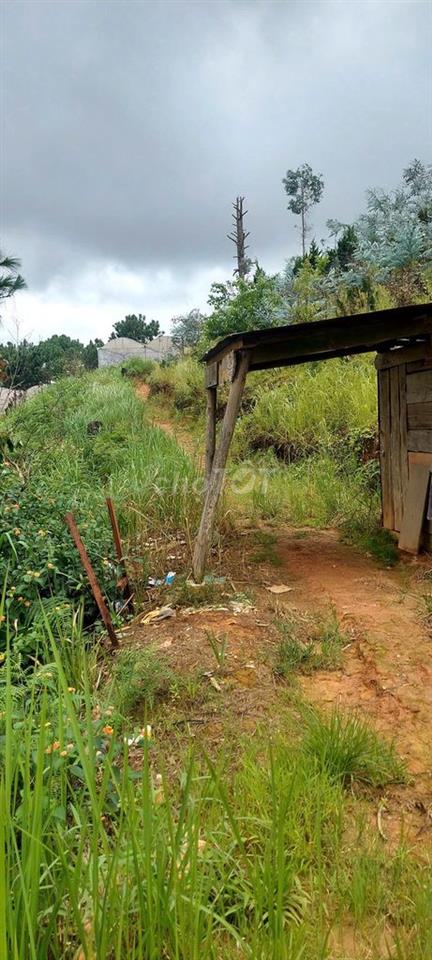 🔥 BÁN GẤP 3.000M² ĐẤT NÔNG NGHIỆP – 2 MẶT ĐƯỜNG – Ô TÔ VÀO TẬN NƠI 🔥